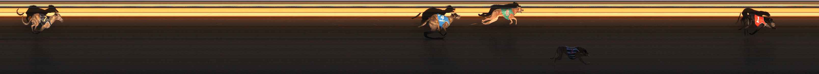 Photo finish for Ballarat Race 14