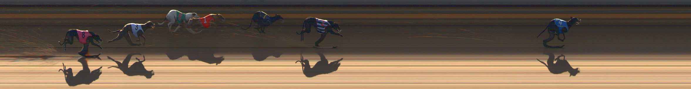 Photo finish for Ballarat Race 10