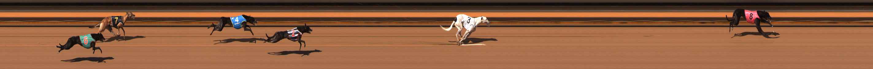 Photo finish for Ballarat Race 2