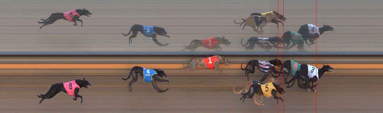 Photo finish for Ballarat Race 1