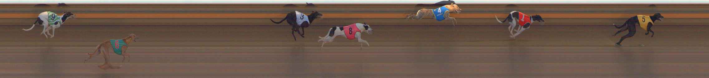 Photo finish for Ballarat Race 2