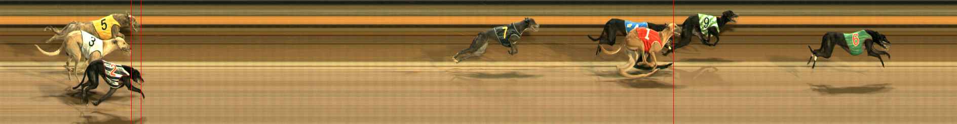 Photo finish for Ballarat Race 8