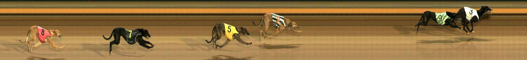 Photo finish for Ballarat Race 9