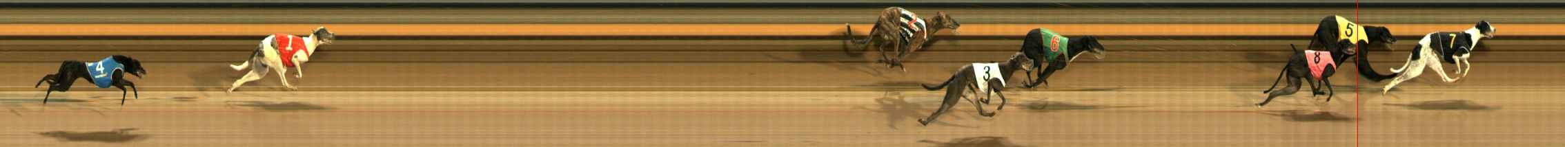 Photo finish for Ballarat Race 10