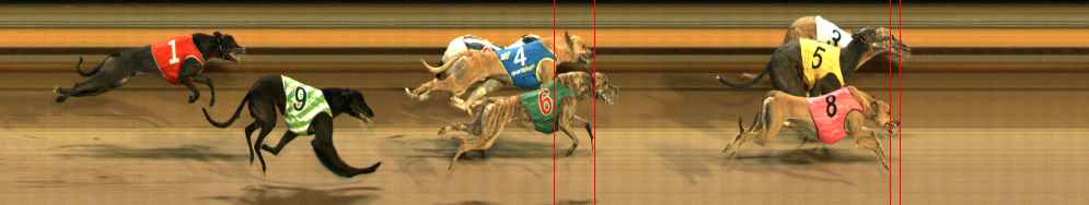 Photo finish for Ballarat Race 13
