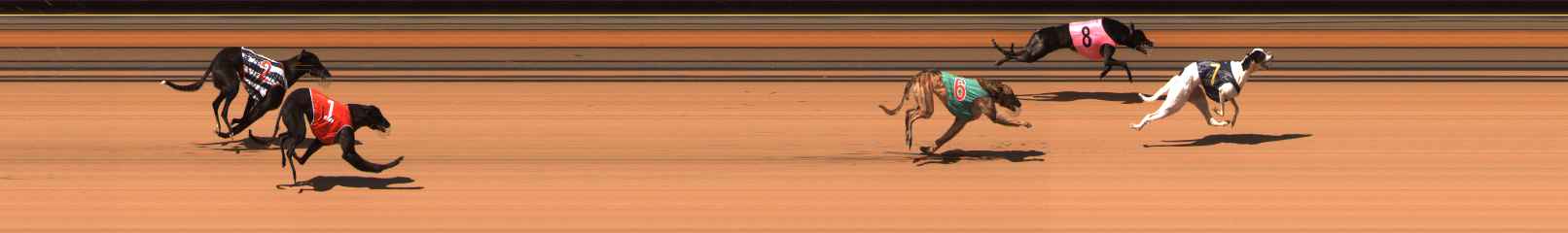 Race result finish photo