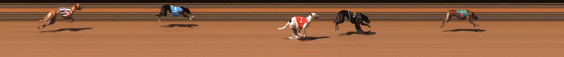 Photo finish for Ballarat Race 2