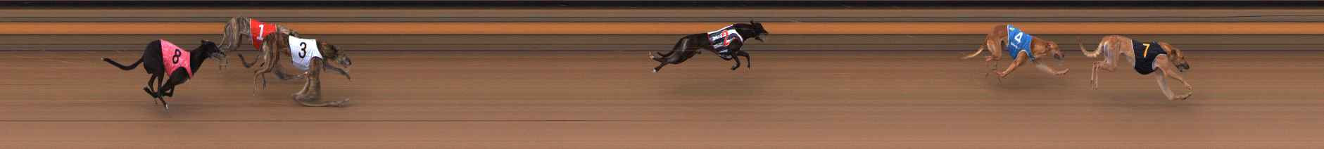 Photo finish for Ballarat Race 4