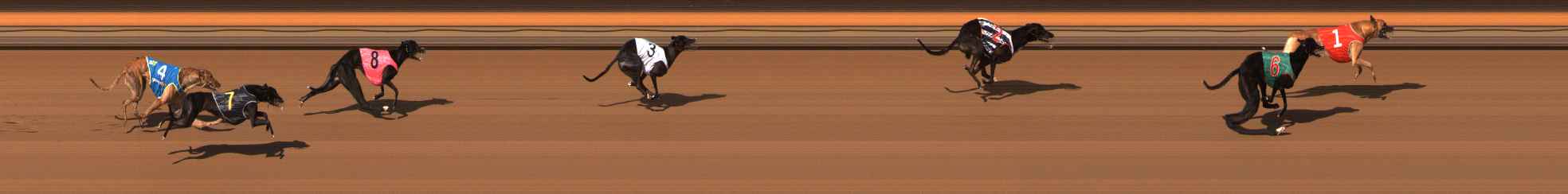 Photo finish for Ballarat Race 5