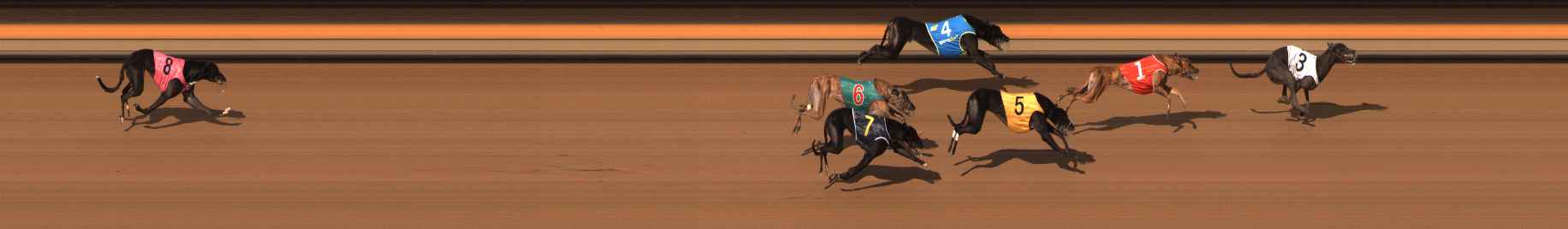 Photo finish for Ballarat Race 6