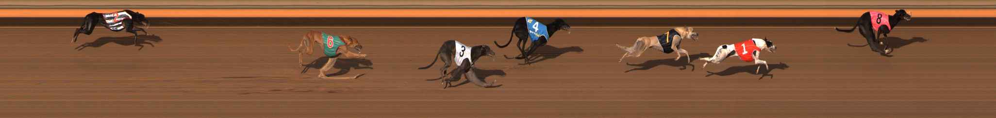 Photo finish for Ballarat Race 8