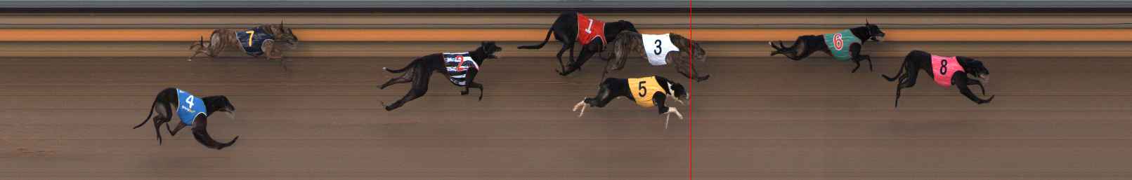 Photo finish for Ballarat Race 10