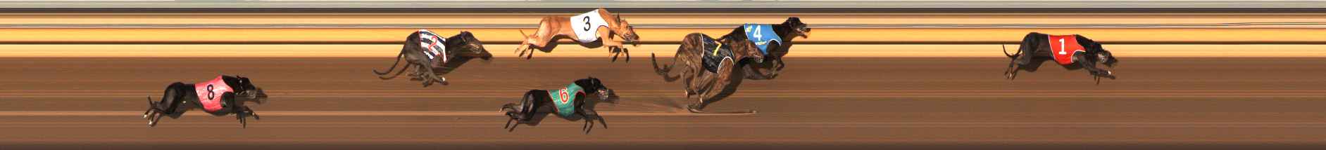 Photo finish for Ballarat Race 11