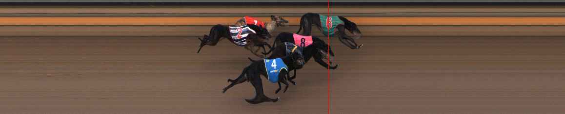 Photo finish for Ballarat Race 12