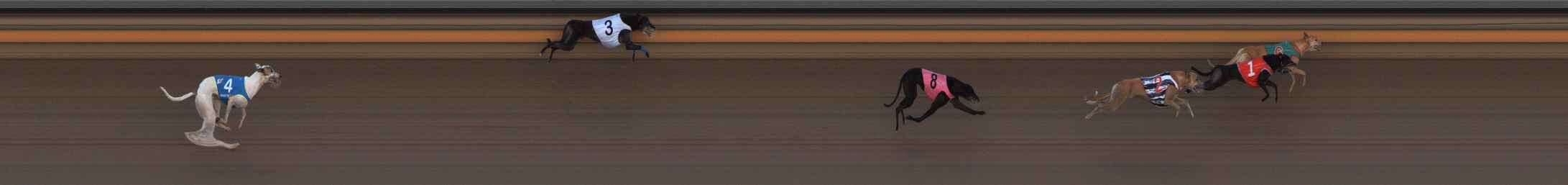 Photo finish for Ballarat Race 13