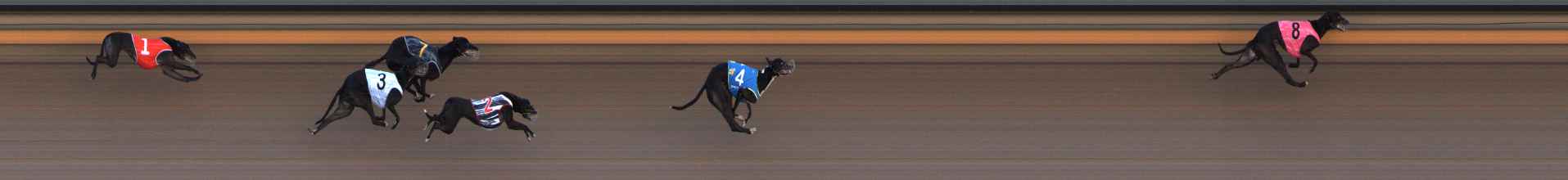Photo finish for Ballarat Race 14