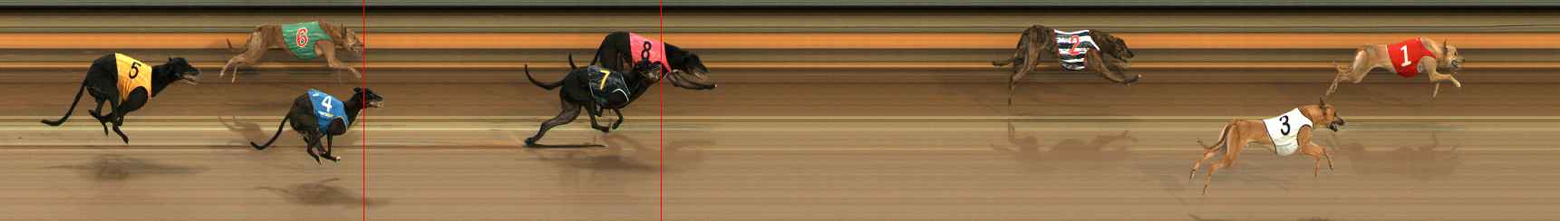 Race result finish photo
