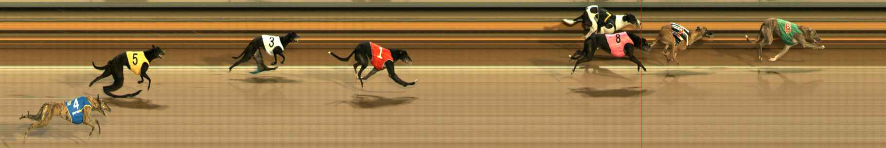 Race result finish photo