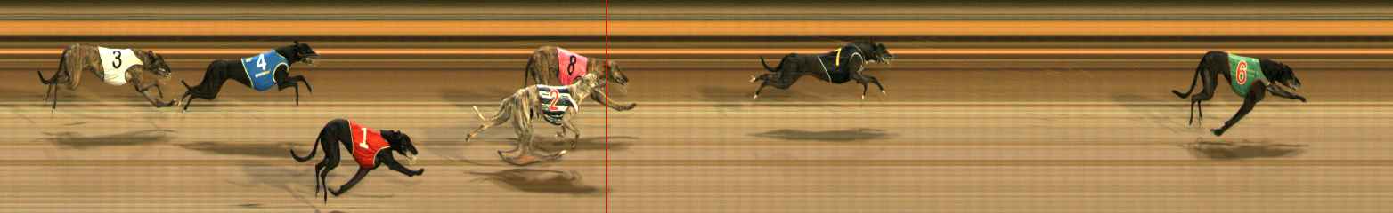 Race result finish photo