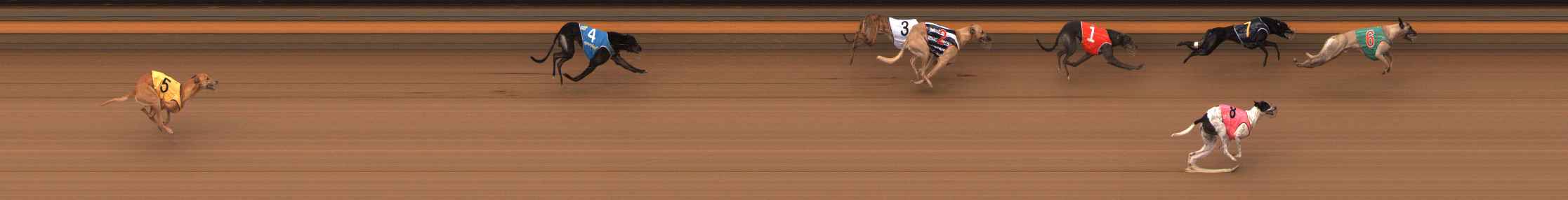 Race result finish photo