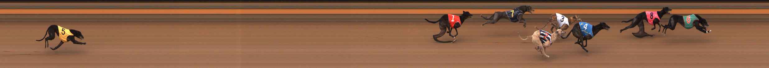 Race result finish photo
