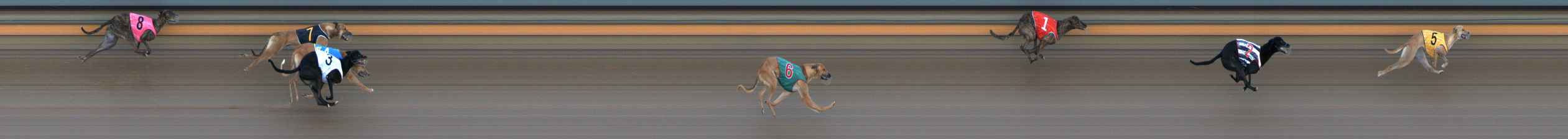 Photo finish for Ballarat Race 2