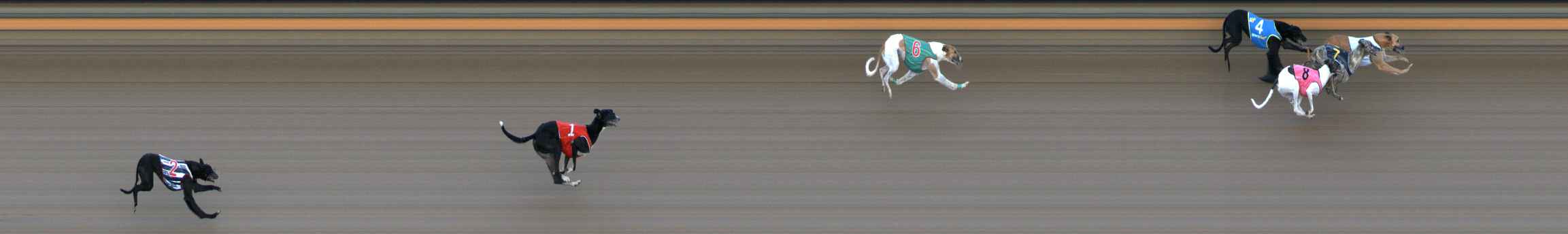 Photo finish for Ballarat Race 3