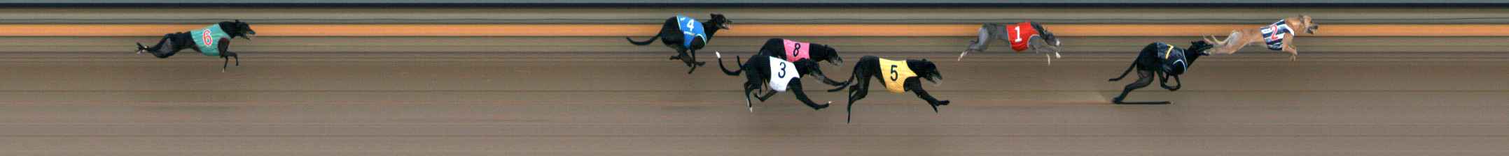 Photo finish for Ballarat Race 4