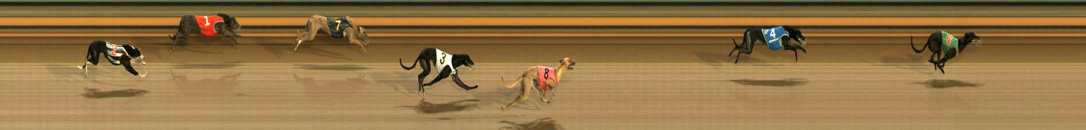 Photo finish for Ballarat Race 5