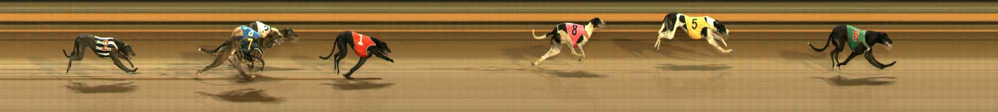 Photo finish for Ballarat Race 6