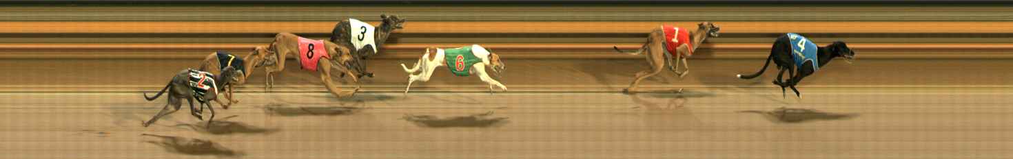 Photo finish for Ballarat Race 7