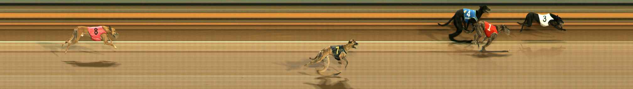 Photo finish for Ballarat Race 8