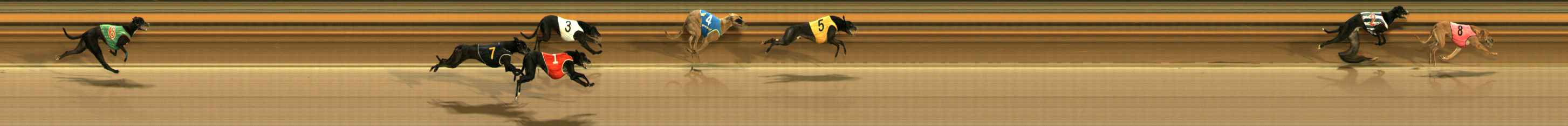 Photo finish for Ballarat Race 9