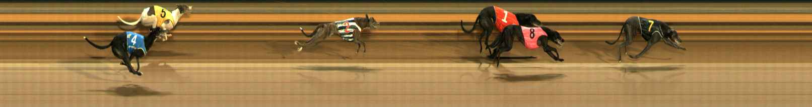 Photo finish for Ballarat Race 10