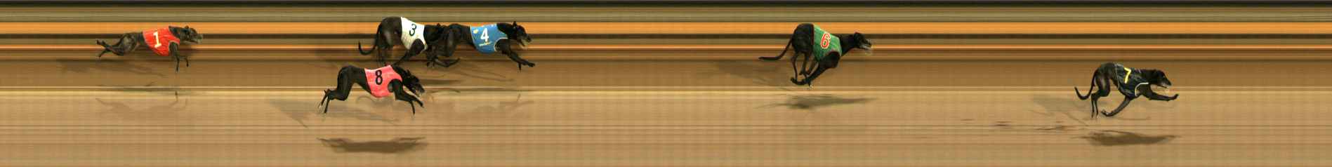 Photo finish for Ballarat Race 12