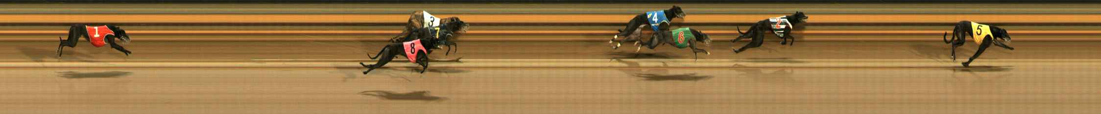 Photo finish for Ballarat Race 14