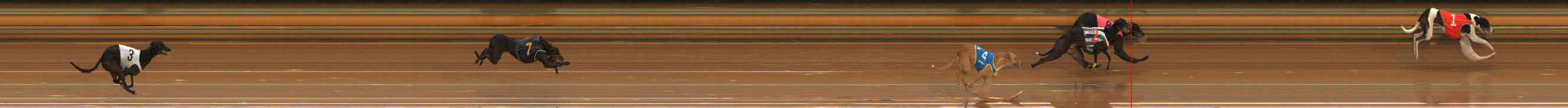 Photo finish for Ballarat Race 1