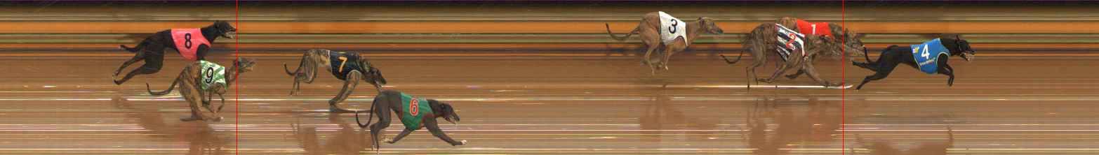 Photo finish for Ballarat Race 2