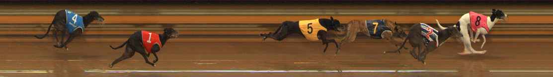 Photo finish for Ballarat Race 3