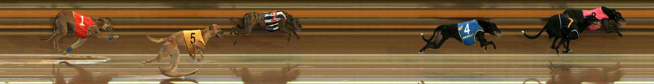 Photo finish for Ballarat Race 4
