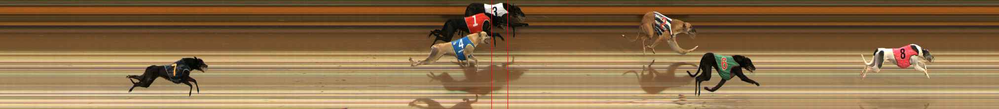 Photo finish for Ballarat Race 5