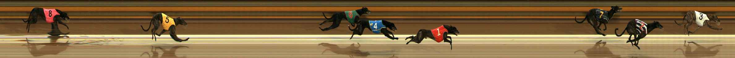 Photo finish for Ballarat Race 6