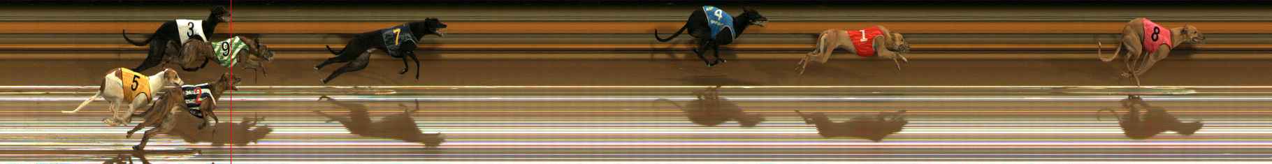 Photo finish for Ballarat Race 7