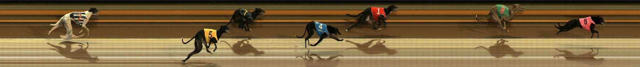 Photo finish for Ballarat Race 8