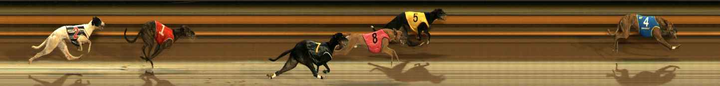 Photo finish for Ballarat Race 9
