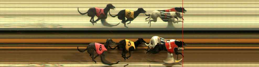 Photo finish for Ballarat Race 10
