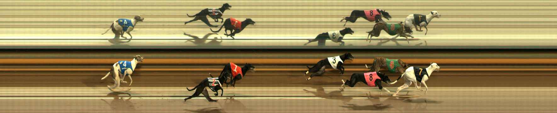 Photo finish for Ballarat Race 11