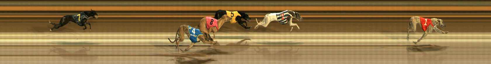Photo finish for Ballarat Race 12