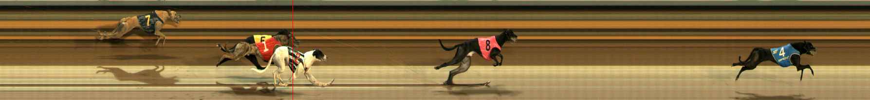 Photo finish for Ballarat Race 13