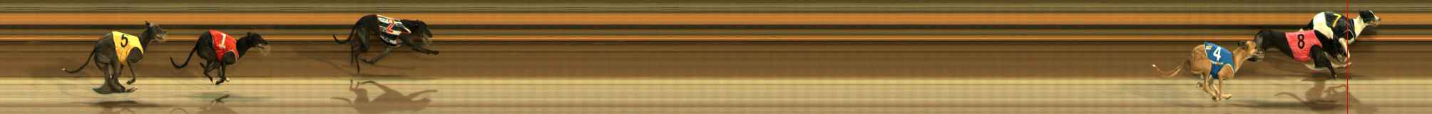 Photo finish for Ballarat Race 14